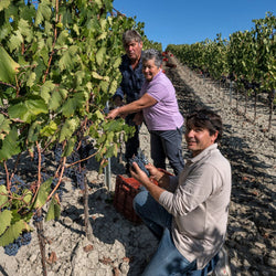 Azienda Agricola Martoccia di Brunelli Luca