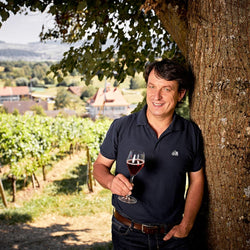 Weingut Clauß