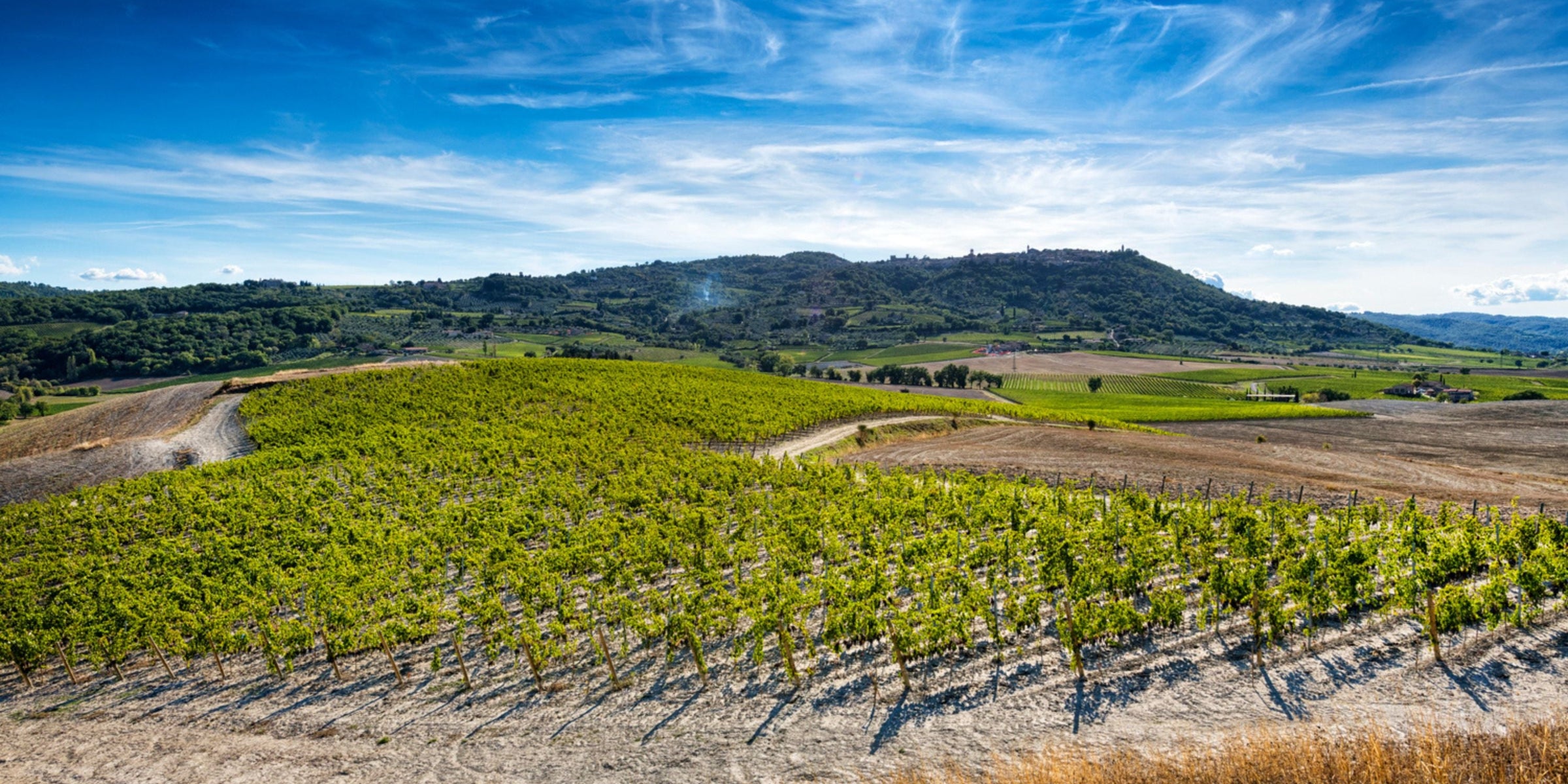 Azienda Agricola Martoccia di Brunelli Luca