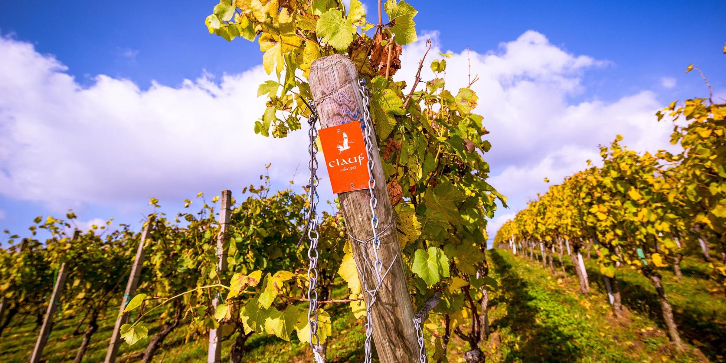 Weingut Clauß