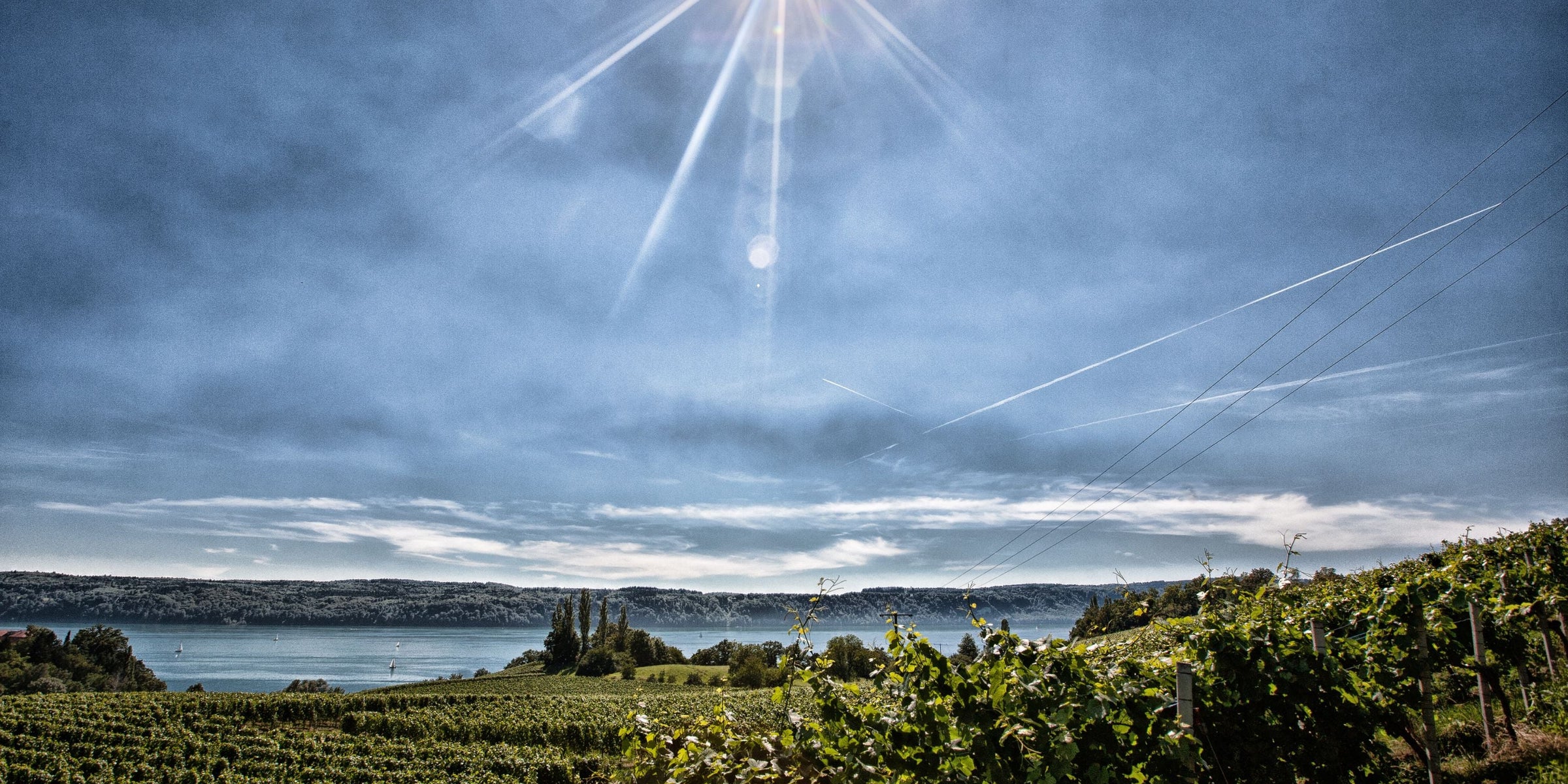 Weingut Kress
