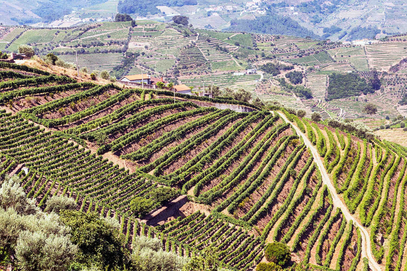 Douro