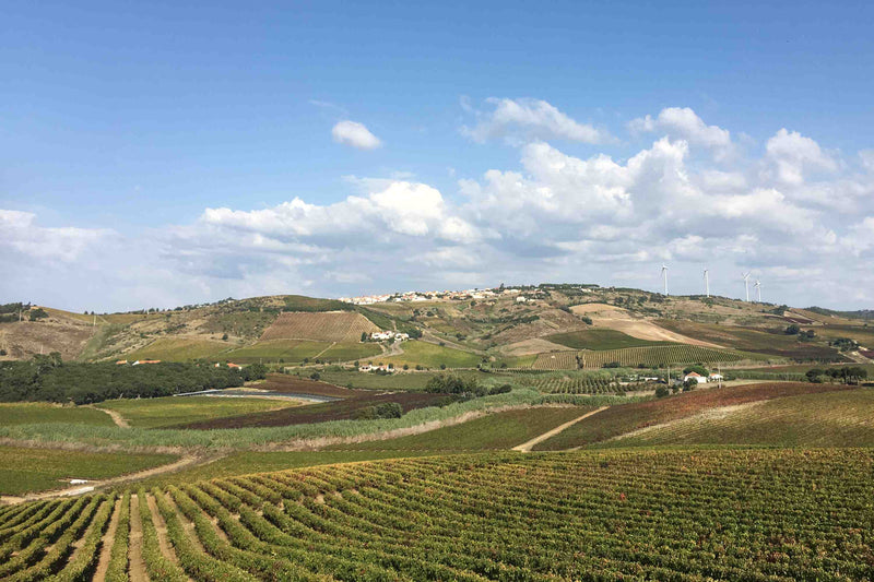 Weinregion Slide 2